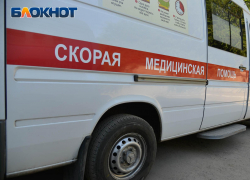 Нападение своры собак на школьника проверяет полиция в Воронеже