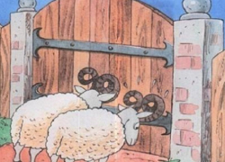 Единороссы Воронежской гордумы упёрлись как "молодцы"