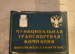Муниципальный перевозчик заплатит 400 тыс выпавшей из автобуса женщине в Воронеже