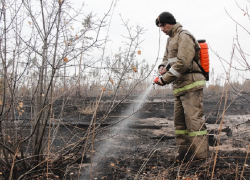 30 домов уничтожили пожары в Воронежской области