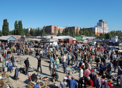 За реконструкцией Птичьего рынка рассмотрели Владимира Нетесова 