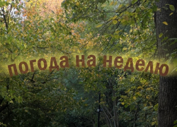 Мокрое начало с солнечным концом: осенняя неделя преподнесет сюрпризы воронежцам
