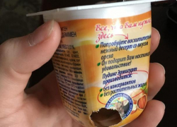 Жительница Воронежа купила пудинг, продегустированный мышью