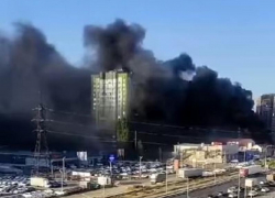 Причину возникновения огромного столба чёрного дыма на окружной трассе Воронежа назвали в МЧС