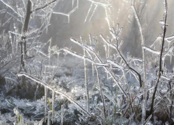 Желтый уровень опасности объявили для Воронежа синоптики из-за гололедицы 