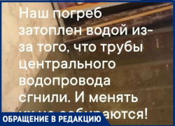 «Купили на зиму овощи, все вытащили»: погреб превращается в колодец в Воронеже 