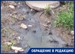 Канализационные изливы Шредингера снимает воронежец два месяца подряд