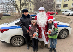 Визит полиции не огорчил, а порадовал детей в Воронежской области 