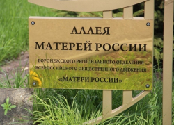 Воронежцы бьют тревогу: «У роддома на аллее растет конопля!»