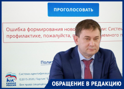С казуса началось предварительное голосование "Единой России" в Воронеже