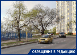 Дайте ходу пешеходу: воронежцы просят внедрить переходник через оживленную дорогу 