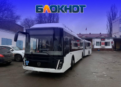 Говорящие "гармошки": как выглядят изнутри новые автобусы в Воронеже