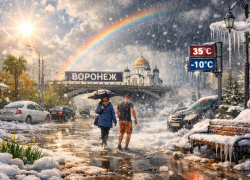 С понедельника в Воронеже наступит климатическая шизофрения