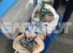 Стали известны подробности случайного задержания фейкового следователя с чемоданом денег и оружием под Воронежем