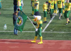 Воронежские «Могучие утки» триумфально выиграли Открытую лигу Черноземья