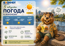 Жара до +34 добралась до Воронежа: прогноз погоды