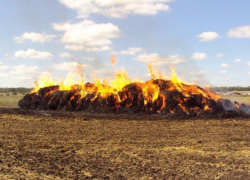Воронежская пенсионерка из мести сожгла запасы сена соседа