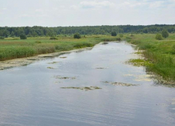Воронежские чиновники нашли того, кто начертит им границы водоохранных зон за 3 млн рублей