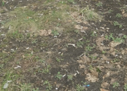 Снег сошел, а «пепельница» осталась: воронежцы жалуются на окурки под окнами