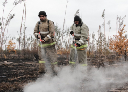 Потушен последний крупный пожар: как сгорала Воронежская область