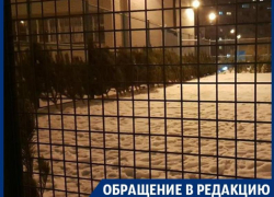 Детскую площадку превратили в елочный базар в Воронеже