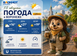 Последние тёплые деньки: прогноз погоды в Воронеже
