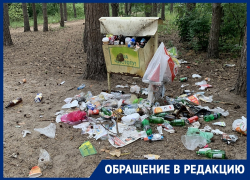 Северный лес утопает в кучах мусора в Воронеже