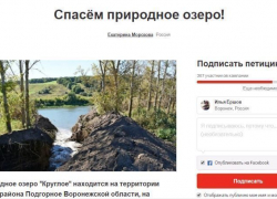Спасти озеро Круглое в Подгорном воронежцы попросили президента РФ Владимира Путина