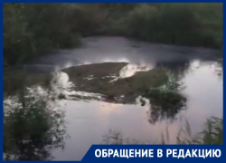 Мощный сброс нечистот в водохранилище воронежцы записали на видео