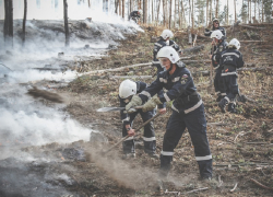 Особый противопожарный режим ввели на месяц раньше в Воронежской области 