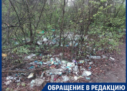 Грязное отношение к популярному пляжу в Воронеже показали на фото