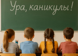  Воронежцы не одобрили сокращение школьных каникул