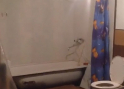 Тайную квартиру нашли в подвале жильцы воронежской многоэтажки