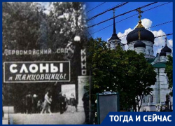 Территория «взаимоисключающих параграфов» раскинулась в самом центре Воронежа