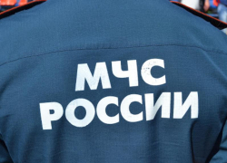 Сотруднику воронежского МЧС грозит уголовное дело из-за бизнеса жены