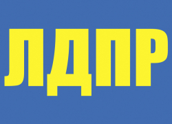 Воронежская ЛДПР определились с первым номером на выборы в городскую Думу