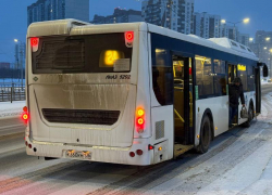 Сколько автобусов будет обслуживать «шиловские» маршруты, рассказал воронежский чиновник