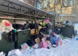 Очередную гору мусора в центре города показали воронежцы