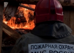 Искра от костра стала причиной пожара в Воронежской области