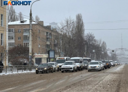 Температурные волнения переживет Воронежская область