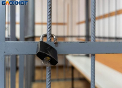 Героиновое ОПГ из четырнадцати человек осудили в Воронеже 