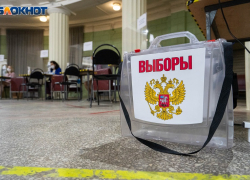 Подсчитано 100% голосов: итоги выборов в Воронежскую областную Думу подвел Избирком 