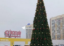 Первая большая елка появилась в Воронеже 