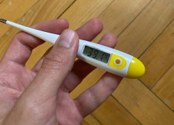 «Крик о помощи в никуда» опубликовала жительница Воронежа