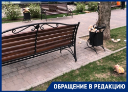 В мусорку из отходов «Макдоналдс» превратился центр Воронежа 