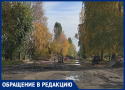Полностью непроходимую улицу нашли в Воронеже