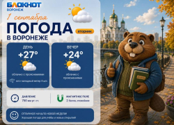 Какой будет погода в День знаний в Воронеже?