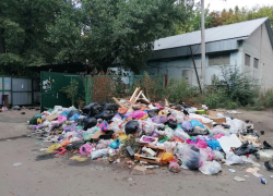 “Были возгорания”: мусорный склад нашли в центре Воронежа