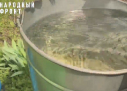 Вода болотного цвета с дурным запахом десятилетие мучает жителей Воронежской области
