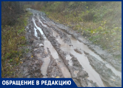 «Моя „Нива“ развалилась»: жители поселка под Воронежем много лет не могут добиться ремонта дороги